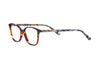 GREY TORT
