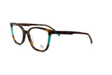 TORT TEAL